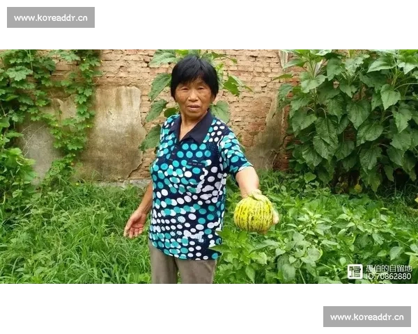 欢乐乡村盛夏瓜比赛激发社区活力与凝聚力的创意文化盛典主题活动展