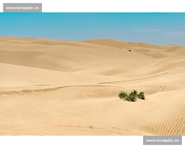 穿越极境黄沙之巅的人类速度与意志沙漠竞速挑战与荣耀传奇