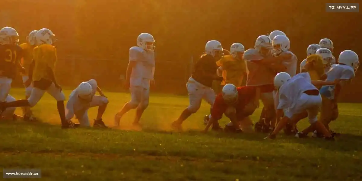 为什么选择我们